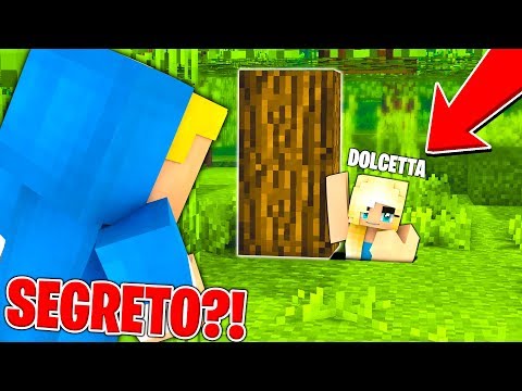 DOLCETTA MI NASCONDE QUALCOSA...! - Città di Minecraft #11