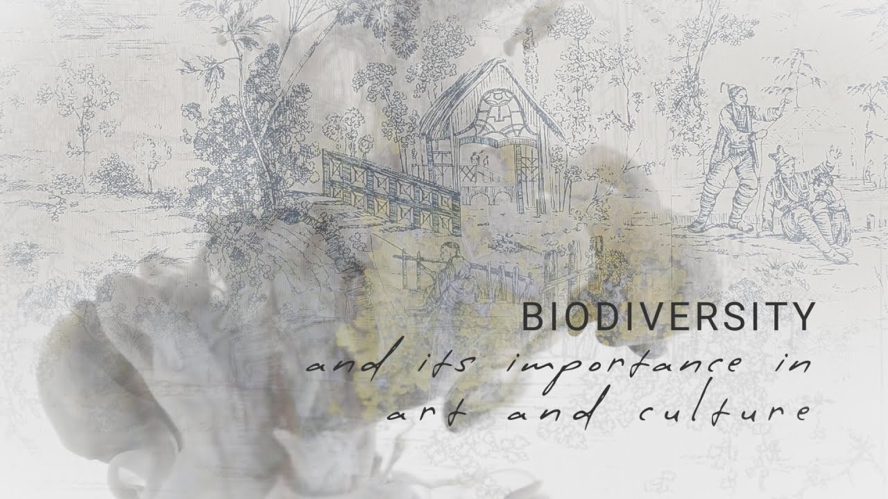 Defining Biodiversity And Its Importance In Art And Culture