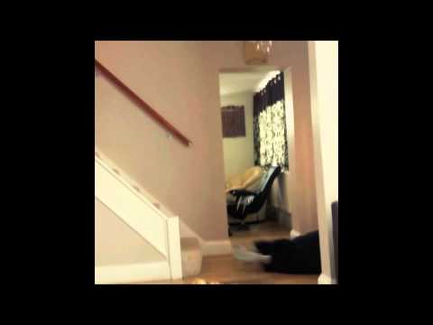 S2J Competition: Jubbah Problems