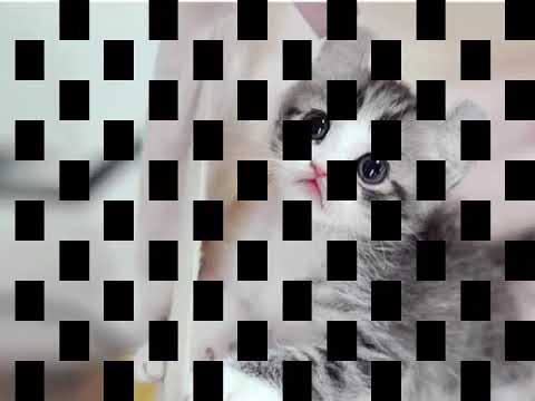 Jangan sakiti kami bila ada di depanmu