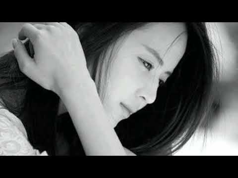 Heo may - Trần Công Đức