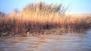 Mother Earth is Crying.m4v