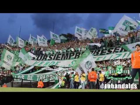 "Te Quiero Como a Mi Vieja -  La Banda Los del Sur" Barra: Los del Sur • Club: Atlético Nacional