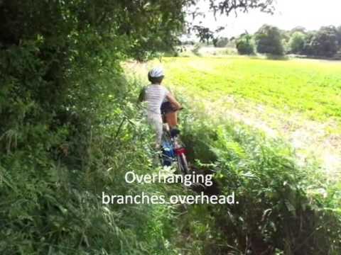Overgrown Norfolk Bridleway - July 2016 (Knapton BR4 - A)