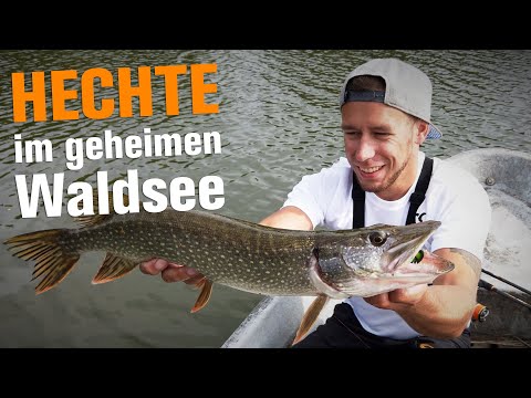 Der geheime Waldsee | Wir ärgern Hechte!