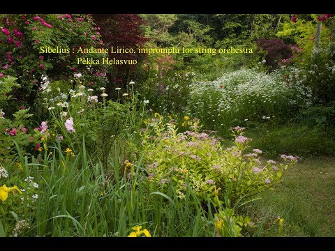 Sibelius : Andante Lirico, impromptu for string orchestra
