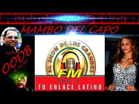 VEVO ! EL MAMBO DEL CAPO by OODB - BAGGIMEDIA - EUROPA & BSR - RECORDS - USA