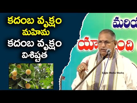 కదంబ వృక్షం మహిమ,కదంబ వృక్షం విశిష్టత,Kadamba Vruksham || Shastram Sampradayam