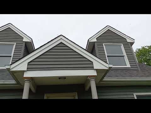 Carpenter Bees Swarming Around the Fascia Board in Helmetta, NJ