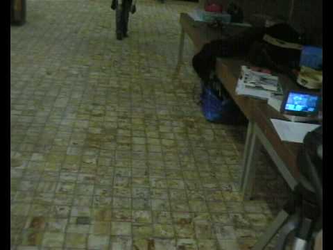 Ingebeeld 1: Tollembeek (07/10/08)