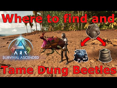 Ark Survival Ascended where to find a dung beetle, Ark how to tame a dung beetle, ASA Dung Beetle