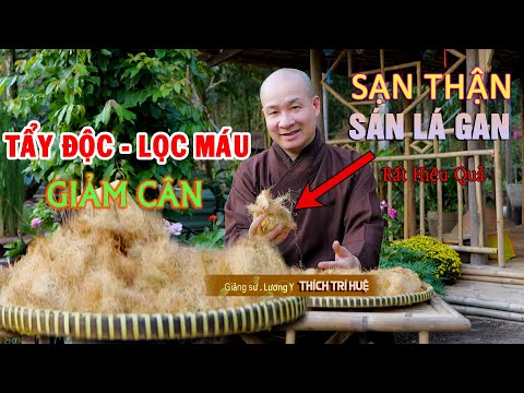 Tẩy độc, Lọc máu - Sạn thận, Sáng lá gan