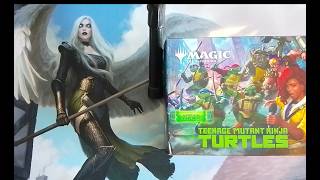 NO HUBO SUPER HÉROES, PERO SÍ SUPER TORTUGAS!
