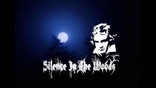 Silence In The Woods - Moonlight Sonata