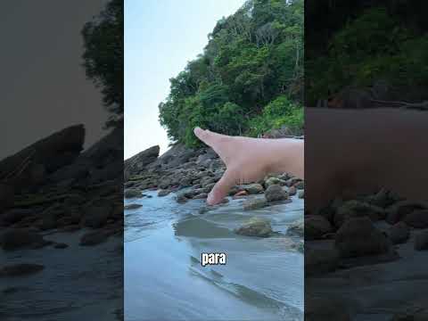 COMO É A PRAIA DA BALEIA EM SÃO SEBASTIÃO LITORAL PAULISTA