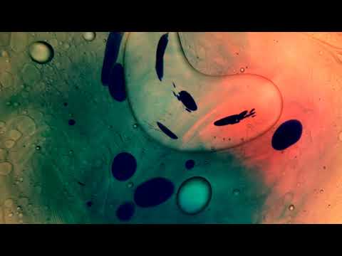 Liquid Light 11/10/19