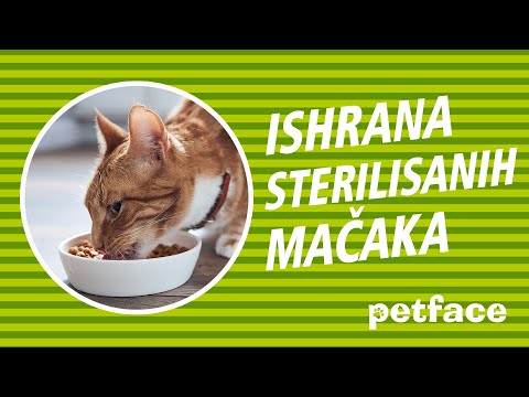 ISHRANA STERILISANIH MACAKA