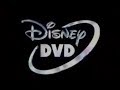 The Disney DVD Presentation