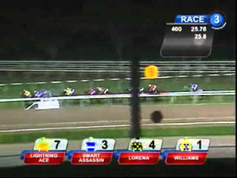 3/4 brother to our Fastnet Rock - Dynamic Love filly, Shaolin Soldier wins in Singapore