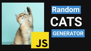 Random Cats Image Generator | HTML | CSS | JAVASCRIPT | #huxnwebdev