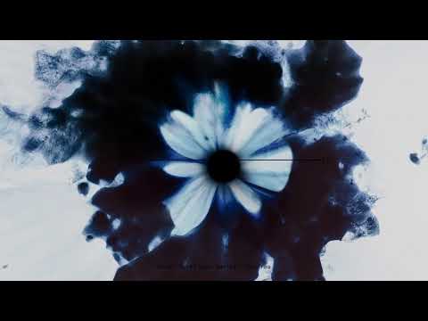 Corey James  ft Santez - With You