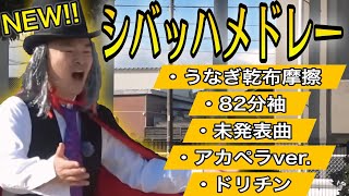 【最新作】シバッハ集1【東海オンエア】