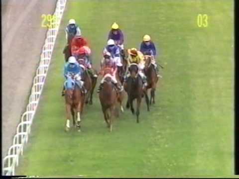 International Jockeys Meeting - Superviviente 2003.