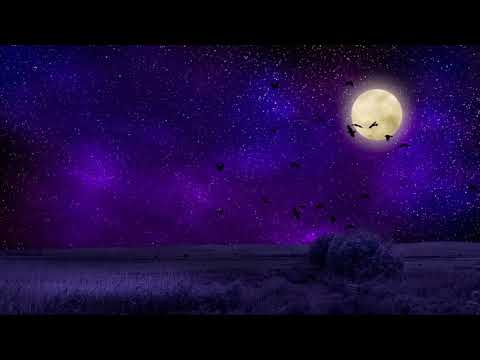 Cornelia Andreika - Învaţă să zbori