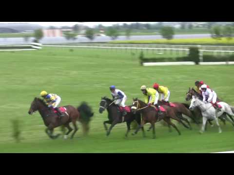 BR, 20. 5. 2017, 8. dostih - Letní brněnská steeplechase firmy CHARVÁT GROUP s.r.o.