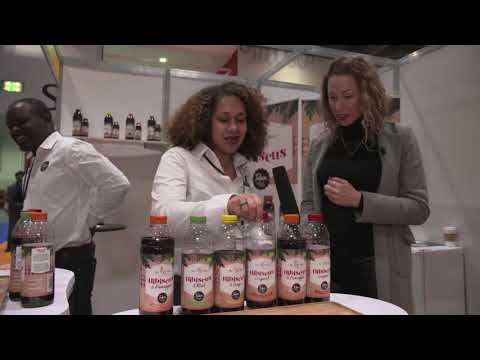 Talina  - Hibiscus-flavoured Natural Drinks