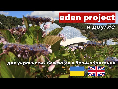 Проект Eden для украинцев в Англии. Стоит ли оно того?