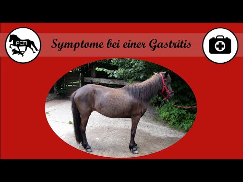Flicka's spezifische Symptome bei Magengeschwüren