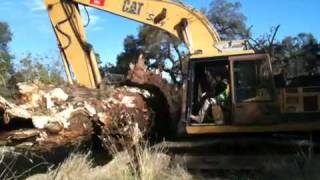 preview picture of video 'Caterpillar excavator lifting 12000 lbs  tree'