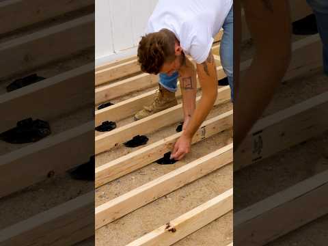 Tuffblocks vs Budget blocks: low profile deck #diy #deck #homeimprovement #deckproject #newdeck