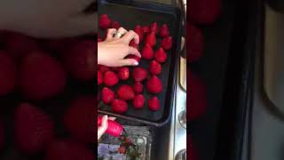 Review of the Chef'n StemGem Strawberry Huller