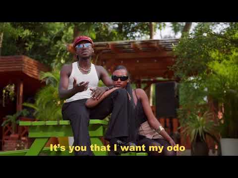 Yaw Darling - Follow My Lead Ft Kelyvn Boy (Official Visualizer)