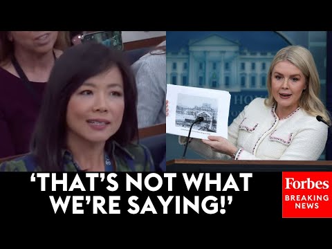 Karoline Leavitt Gets Testy With Reporter After She Asks If Trump Can 'Tear Down Anything He Wants'