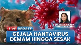 Hantavirus Ramai Dibahas, Kenali Gejala, Penularan, dan Cara Mencegahnya: Demam hingga Sesak Napas