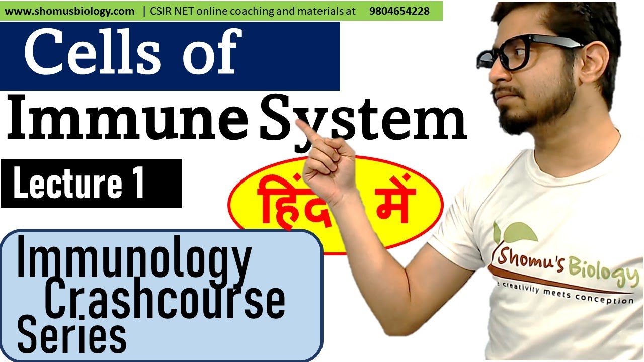 Cells of immune system in Hindi | Immunology lecture 1