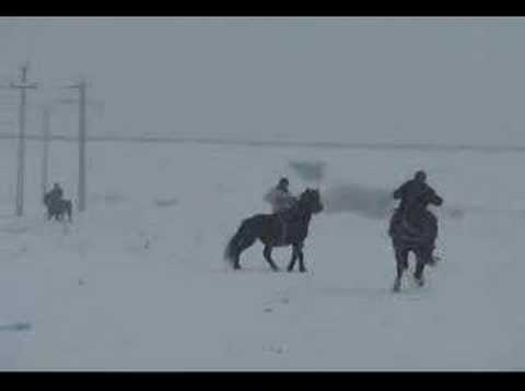 Botezul cailor la Slatioara