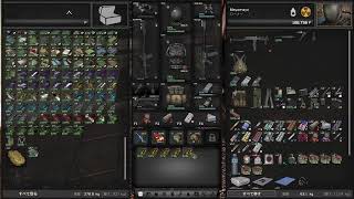 stalker  gamma
