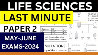 LAST MIMUTE: LIFE SCIENCES PAPER 2 GRADE 12  2024 MAY-JUNE EXAMS BY  M SAIDI: THUNDEREDUC