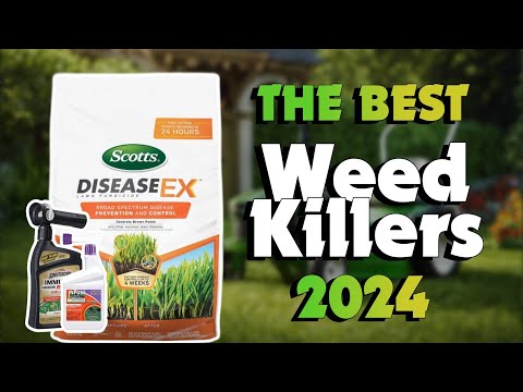 The Top 5 Best Lawn Fungicide - Fungus Control in 2024 - Must Watch Before Buying!