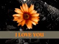 I Love You (I Always Have) by Mikky Ekko (W ...