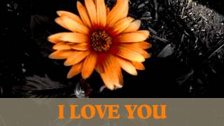 I Love You (I Always Have) by Mikky Ekko (W/lyrics)