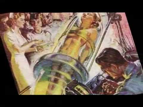 John Safran Vs God   Scientology Segment 360p