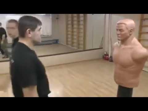 SCHNELLSTER BOXER DER WELT!!!!!!!!!