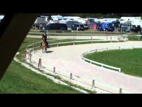 OSI Hirtenhof 2011 - Johanna Beuk & Merkur T1 - isibless