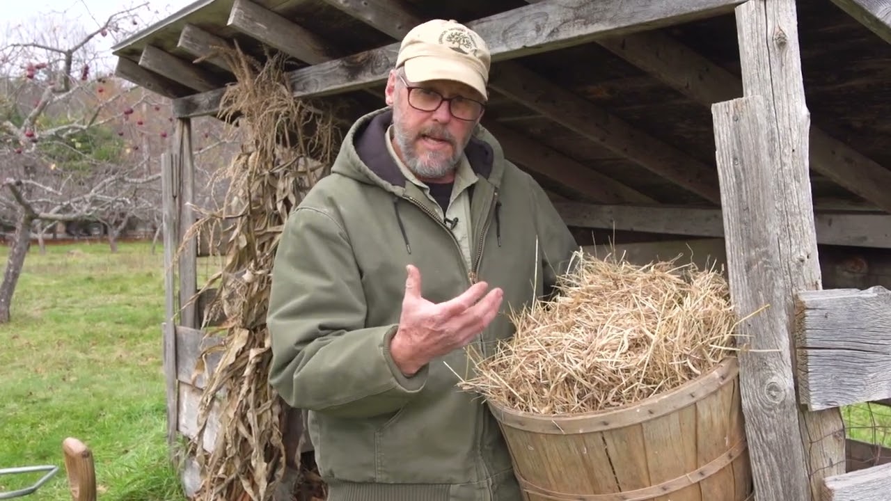 Backyard Composting