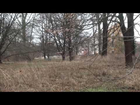 Arbeiten am Oberschulzentrum - ELSTERWELLE